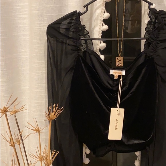 • Velvet Mesh Black Crop Top • - Picture 2 of 5